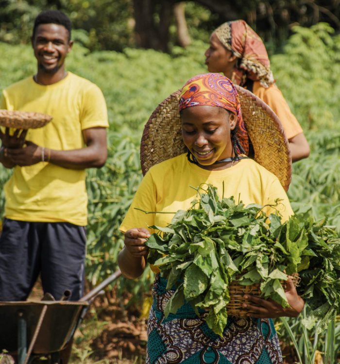 Launching Africa’s largest agricultural hub in Cross River State